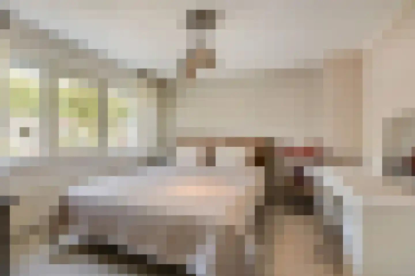 Dr Schaepmanstraat 3 Zevenaar thumbnail 30