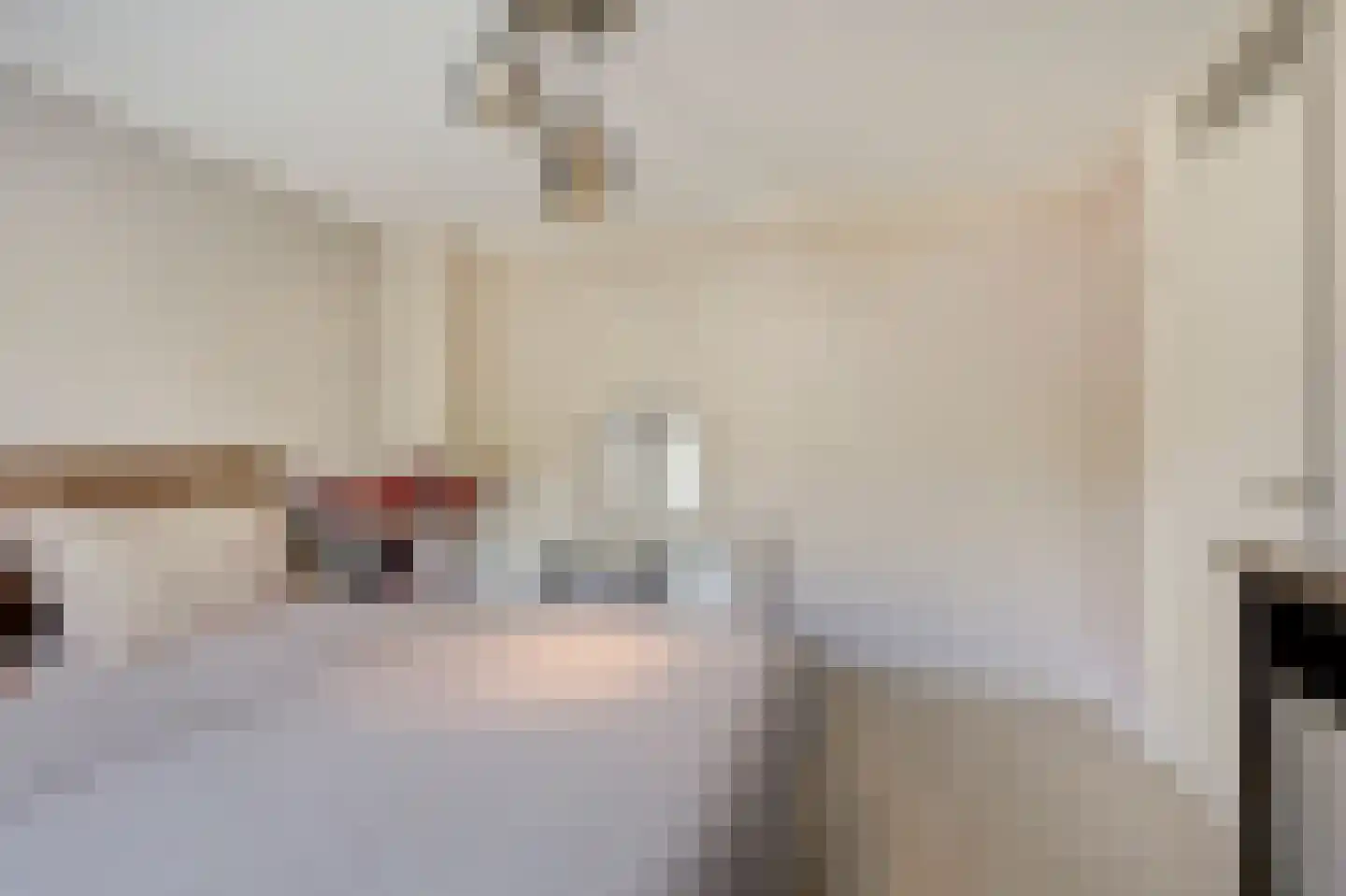 Dr Schaepmanstraat 3 Zevenaar thumbnail 32