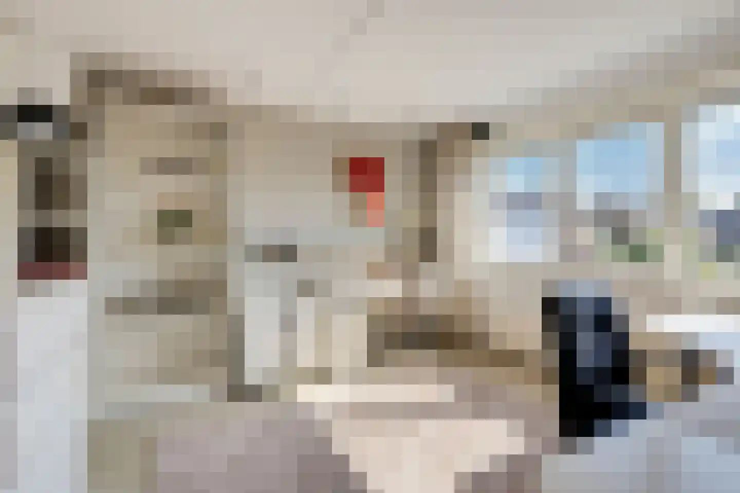 Dr Schaepmanstraat 3 Zevenaar thumbnail 38