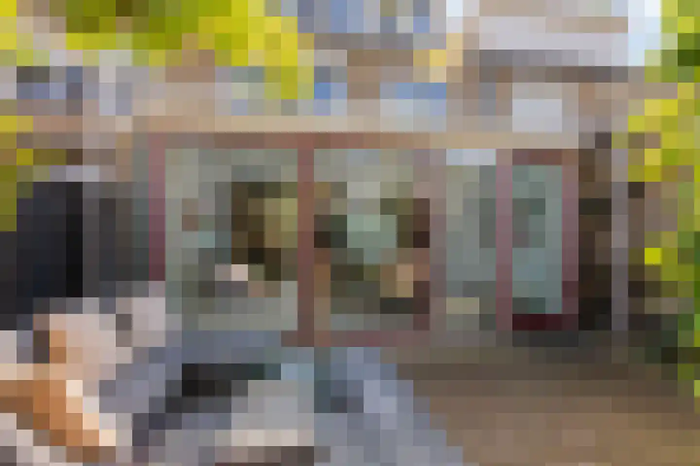 Dr Schaepmanstraat 3 Zevenaar thumbnail 46