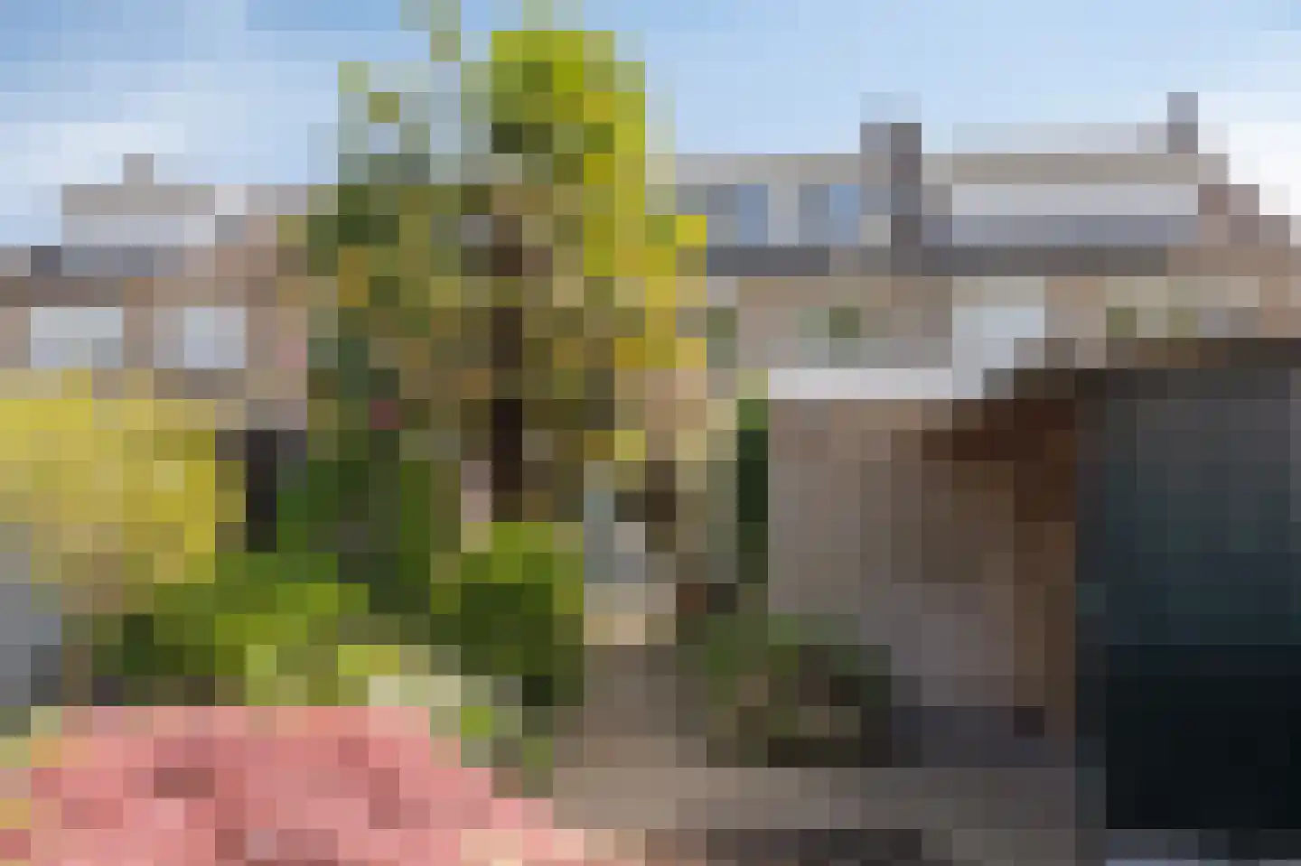Dr Schaepmanstraat 3 Zevenaar thumbnail 52