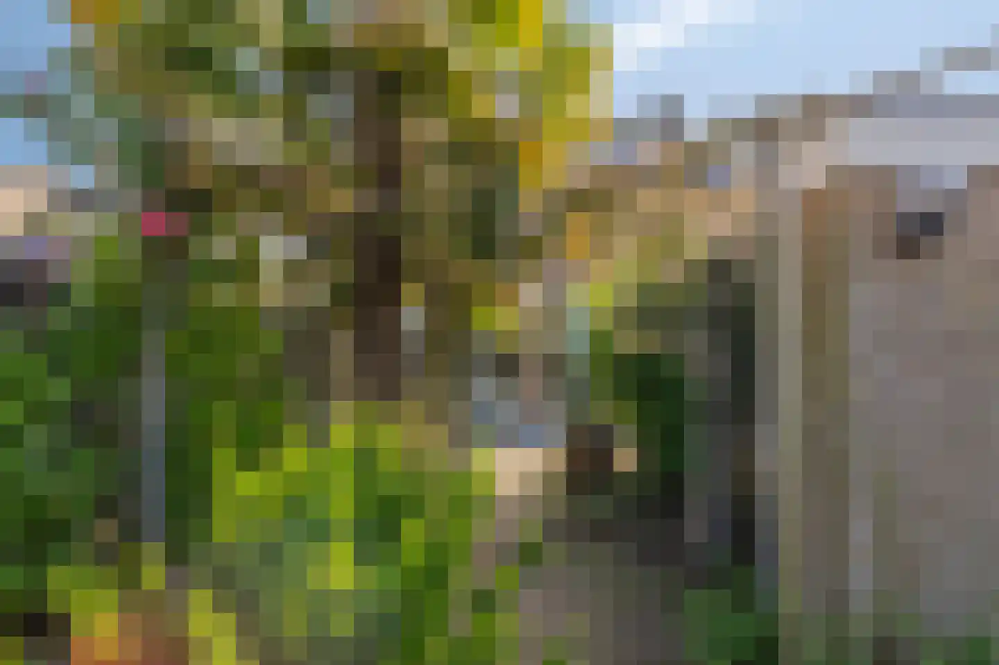 Dr Schaepmanstraat 3 Zevenaar thumbnail 53