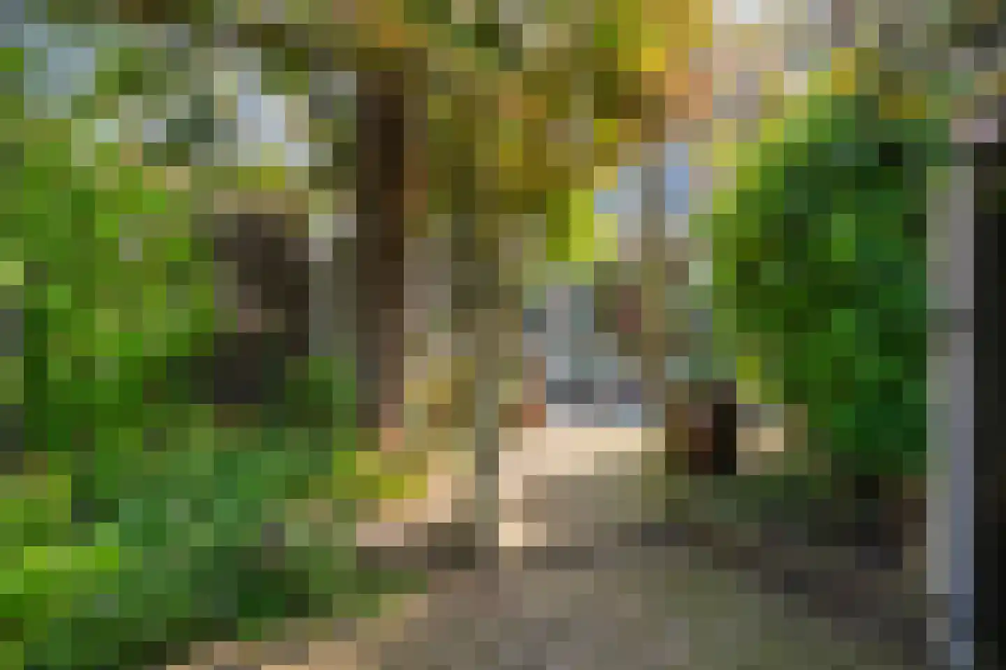 Dr Schaepmanstraat 3 Zevenaar thumbnail 54