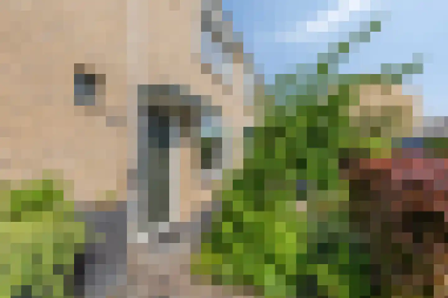 Dr Schaepmanstraat 3 Zevenaar thumbnail 8