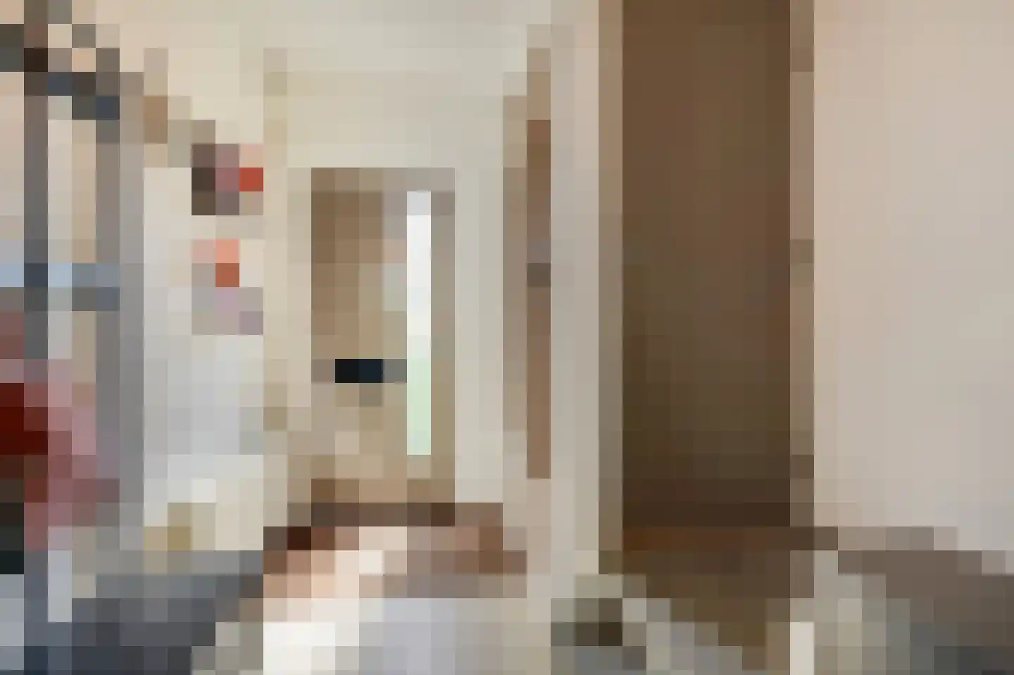 Dr Schaepmanstraat 3 Zevenaar thumbnail 9