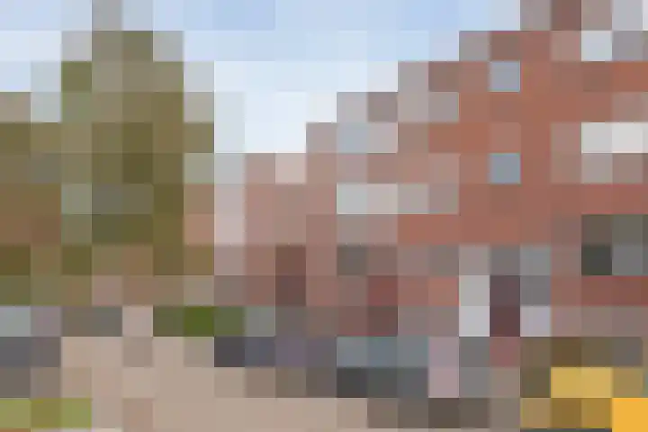 Dr. Schaepmanstraat 32 Ridderkerk thumbnail 23