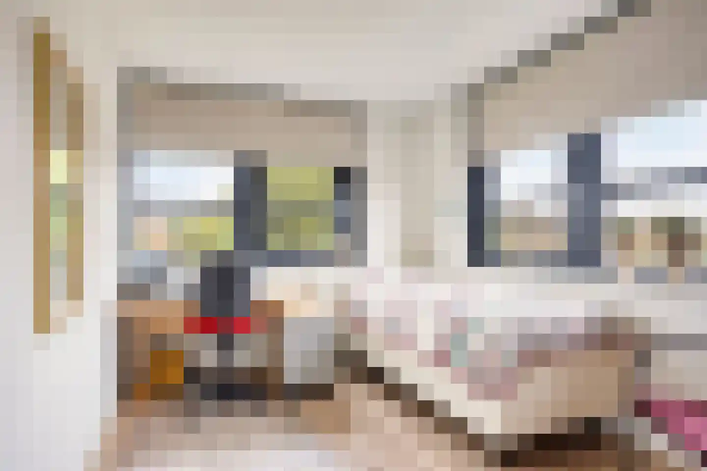 Dr.Schaepmanstraat 32 Wolvega thumbnail 19