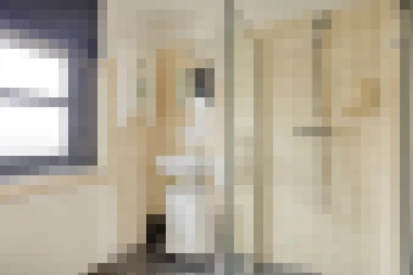 Dr.Schaepmanstraat 32 Wolvega thumbnail 21