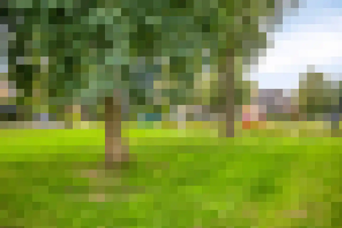 Dr.Schaepmanstraat 32 Wolvega thumbnail 31