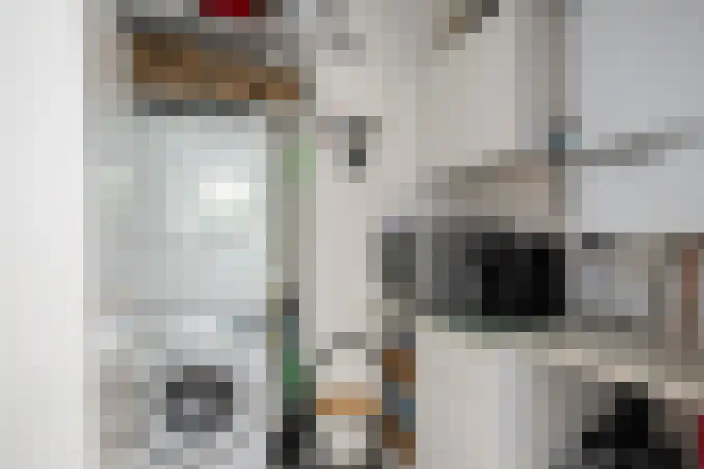 Dr.Schaepmanstraat 32 Wolvega thumbnail 9