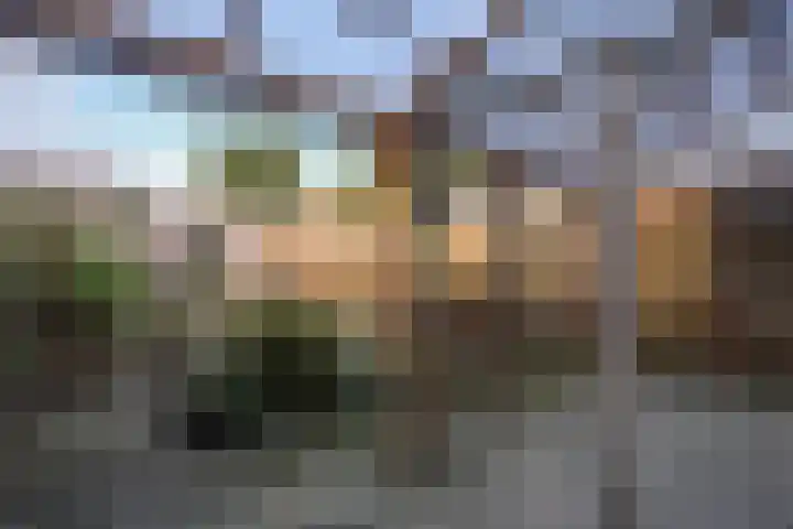 Dr. Schaepmanstraat 33 Geleen thumbnail 21