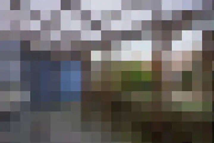 Dr. Schaepmanstraat 33 Geleen thumbnail 22