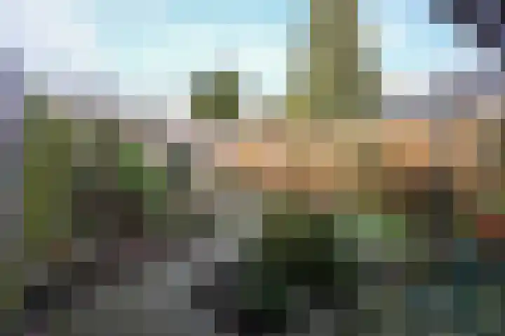 Dr. Schaepmanstraat 33 Geleen thumbnail 23