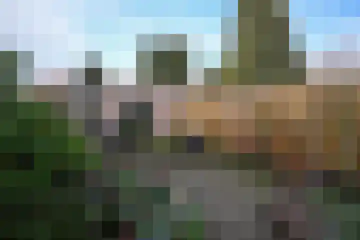 Dr. Schaepmanstraat 33 Geleen thumbnail 25