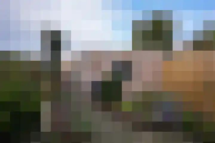 Dr. Schaepmanstraat 33 Geleen thumbnail 26