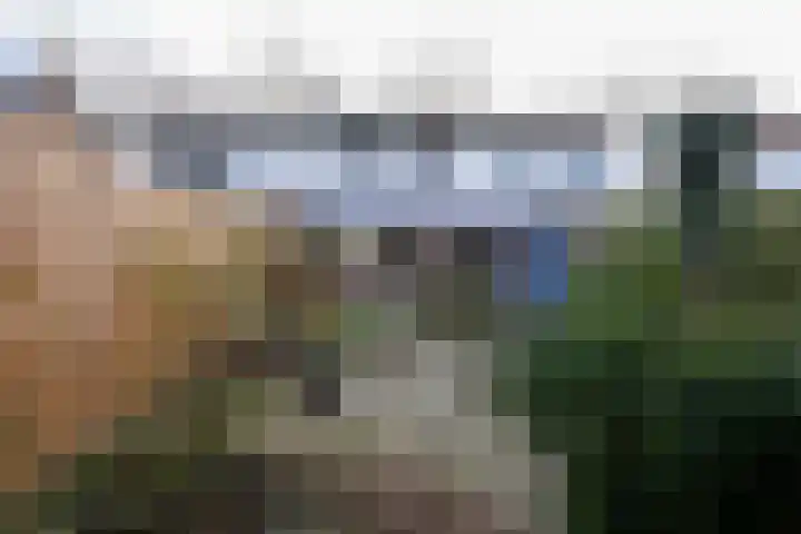 Dr. Schaepmanstraat 33 Geleen thumbnail 28