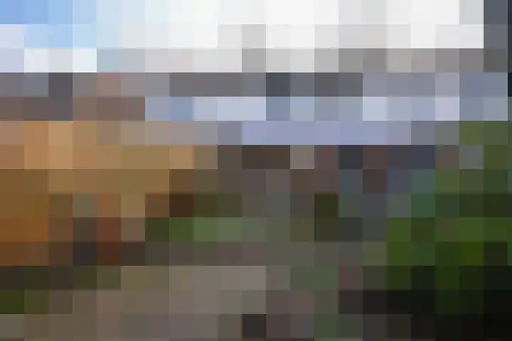 Dr. Schaepmanstraat 33 Geleen thumbnail 29