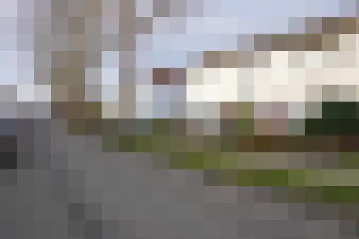 Dr. Schaepmanstraat 33 Geleen thumbnail 30