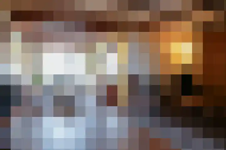 Dr. Schaepmanstraat 33 Geleen thumbnail 4