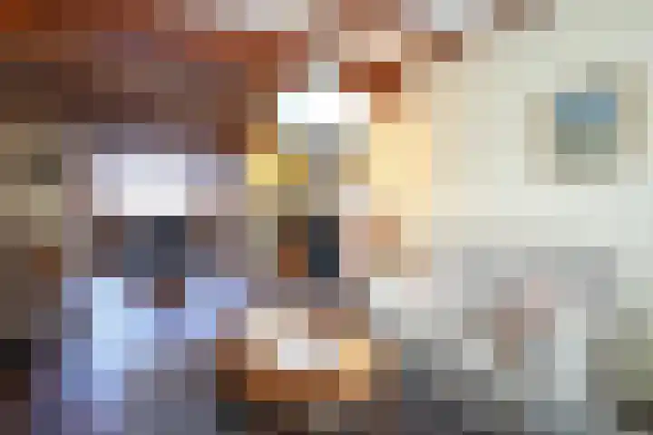 Dr. Schaepmanstraat 33 Geleen thumbnail 5