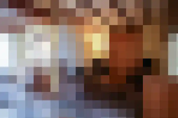 Dr. Schaepmanstraat 33 Geleen thumbnail 8