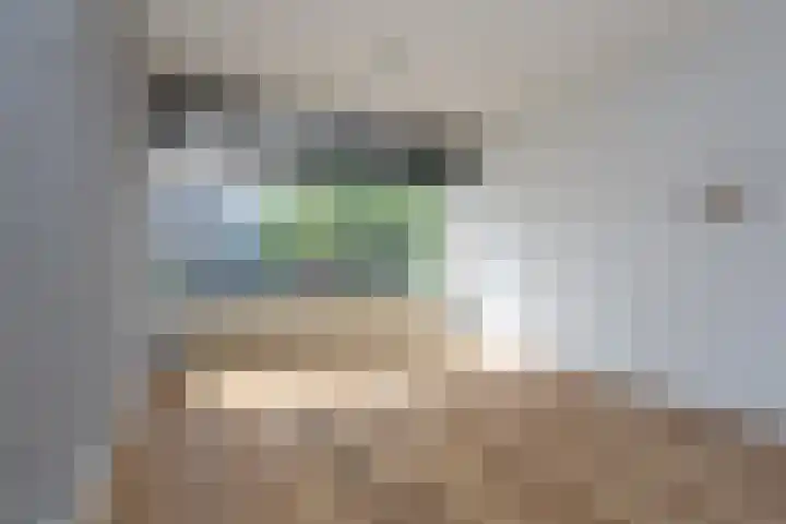 Dr Schaepmanstraat 35 Wateringen thumbnail 10