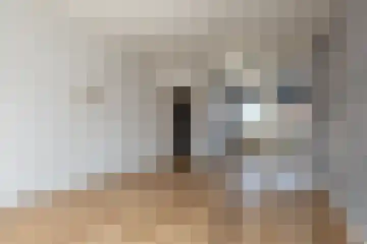 Dr Schaepmanstraat 35 Wateringen thumbnail 11