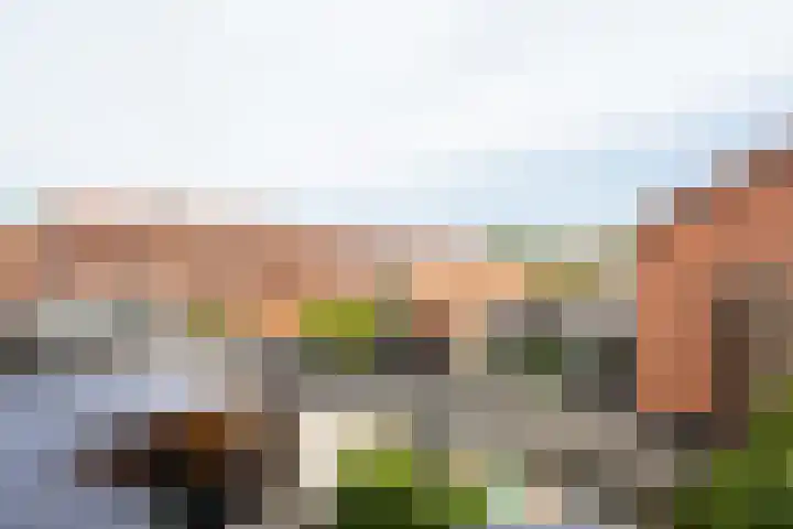 Dr Schaepmanstraat 35 Wateringen thumbnail 23
