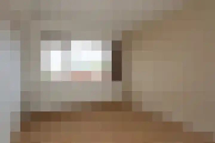 Dr Schaepmanstraat 35 Wateringen thumbnail 33