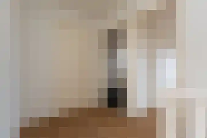 Dr Schaepmanstraat 35 Wateringen thumbnail 35