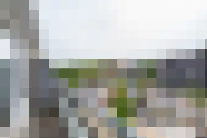 Dr Schaepmanstraat 35 Wateringen thumbnail 4