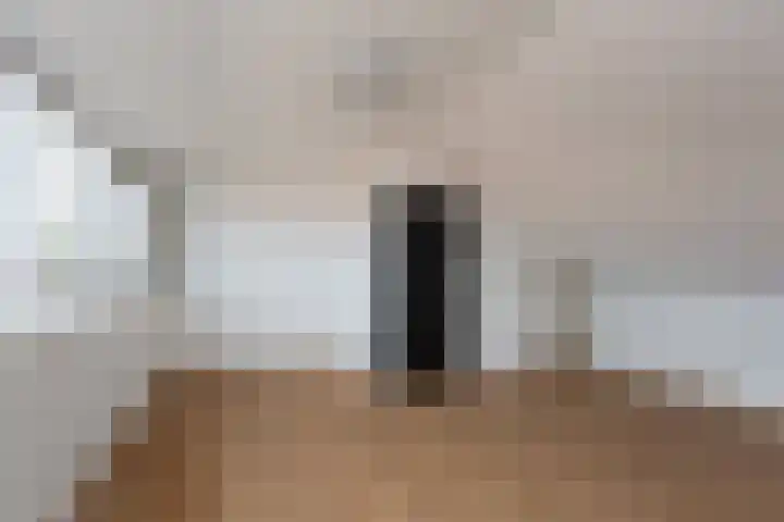 Dr Schaepmanstraat 35 Wateringen thumbnail 42
