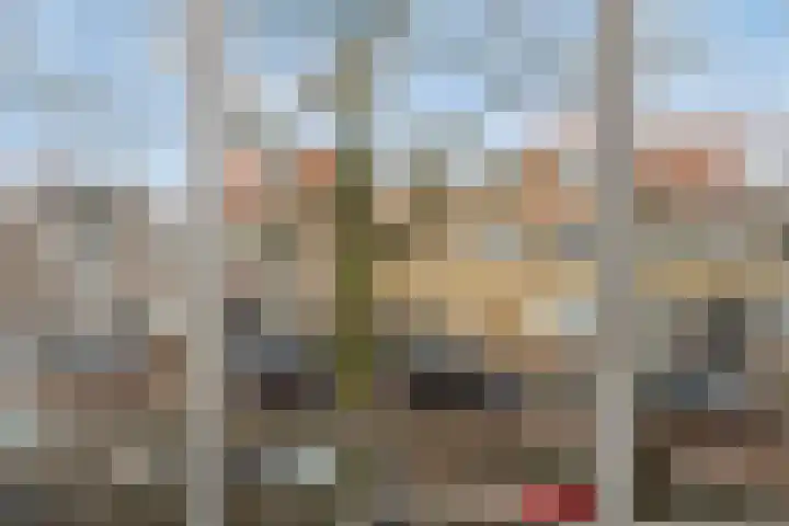 Dr. Schaepmanstraat 36 Haarlem thumbnail 18