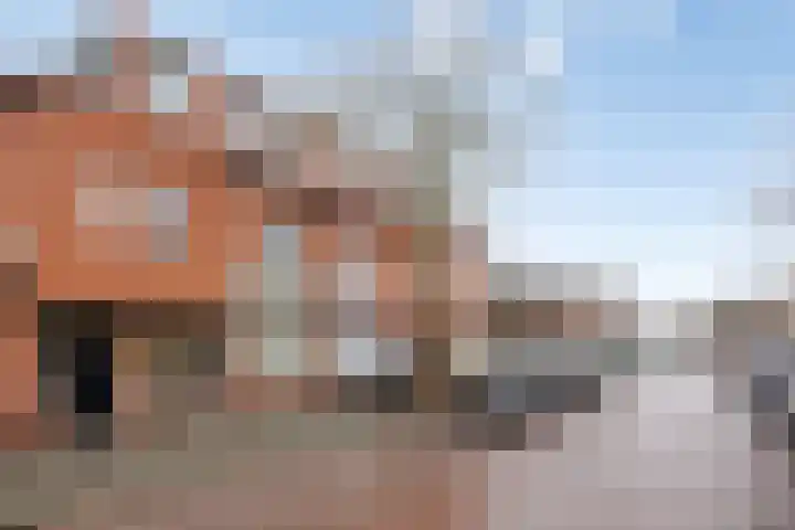 Dr. Schaepmanstraat 36 Haarlem thumbnail 6