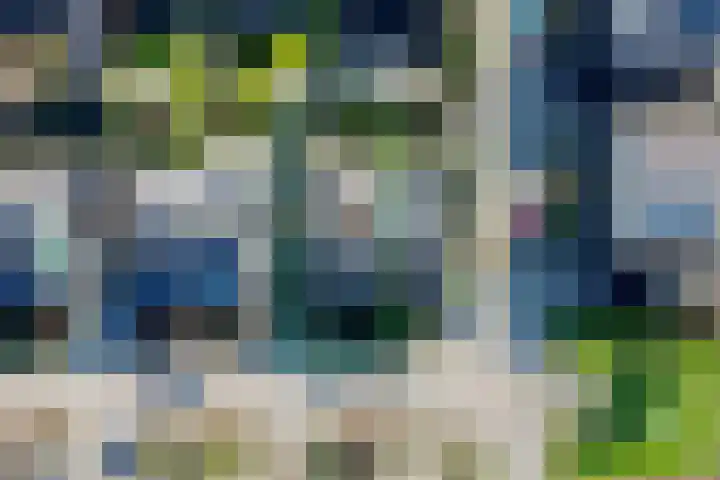 Dr. Schaepmanstraat 36 Haarlem thumbnail 7
