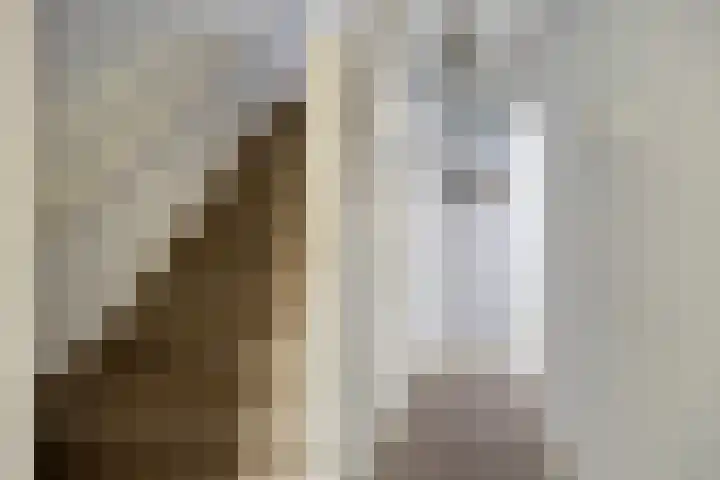 Dr. Schaepmanstraat 36 Haarlem thumbnail 9
