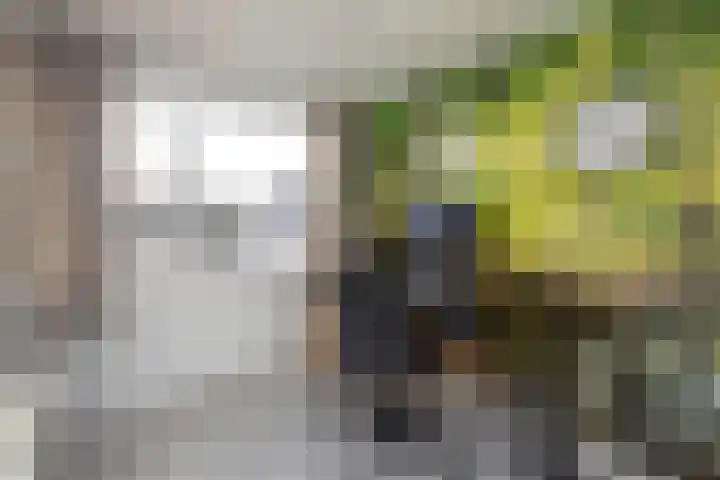 Dr. Schaepmanstraat 37 Hengelo thumbnail 17