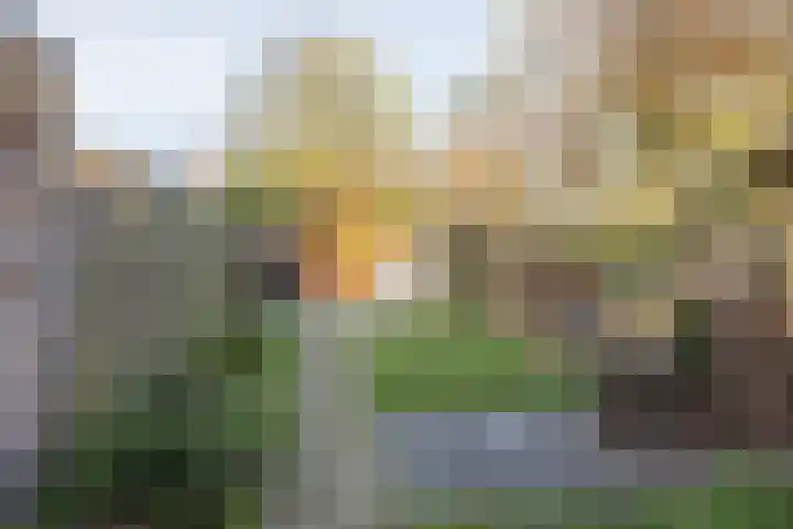 Dr. Schaepmanstraat 37 Hengelo thumbnail 23