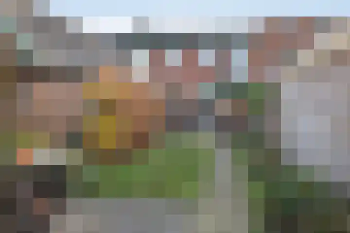 Dr. Schaepmanstraat 37 Hengelo thumbnail 26