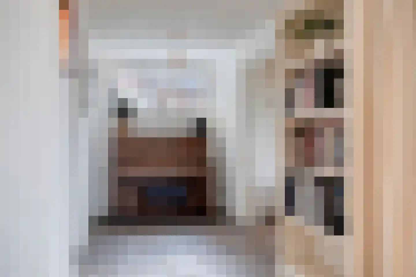 Dr. Schaepmanstraat 37 Tiel thumbnail 10