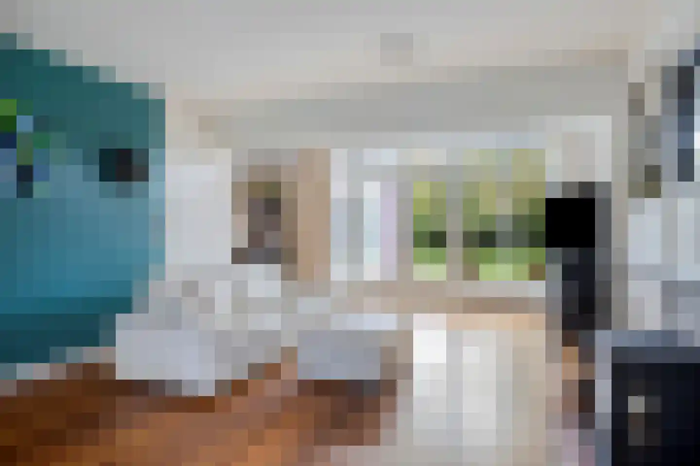 Dr. Schaepmanstraat 37 Tiel thumbnail 11