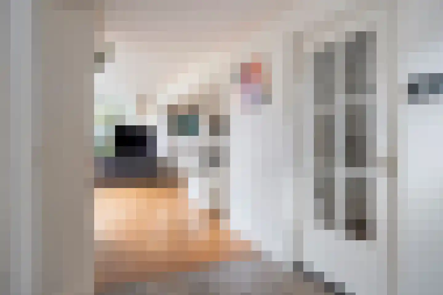 Dr. Schaepmanstraat 37 Tiel thumbnail 17