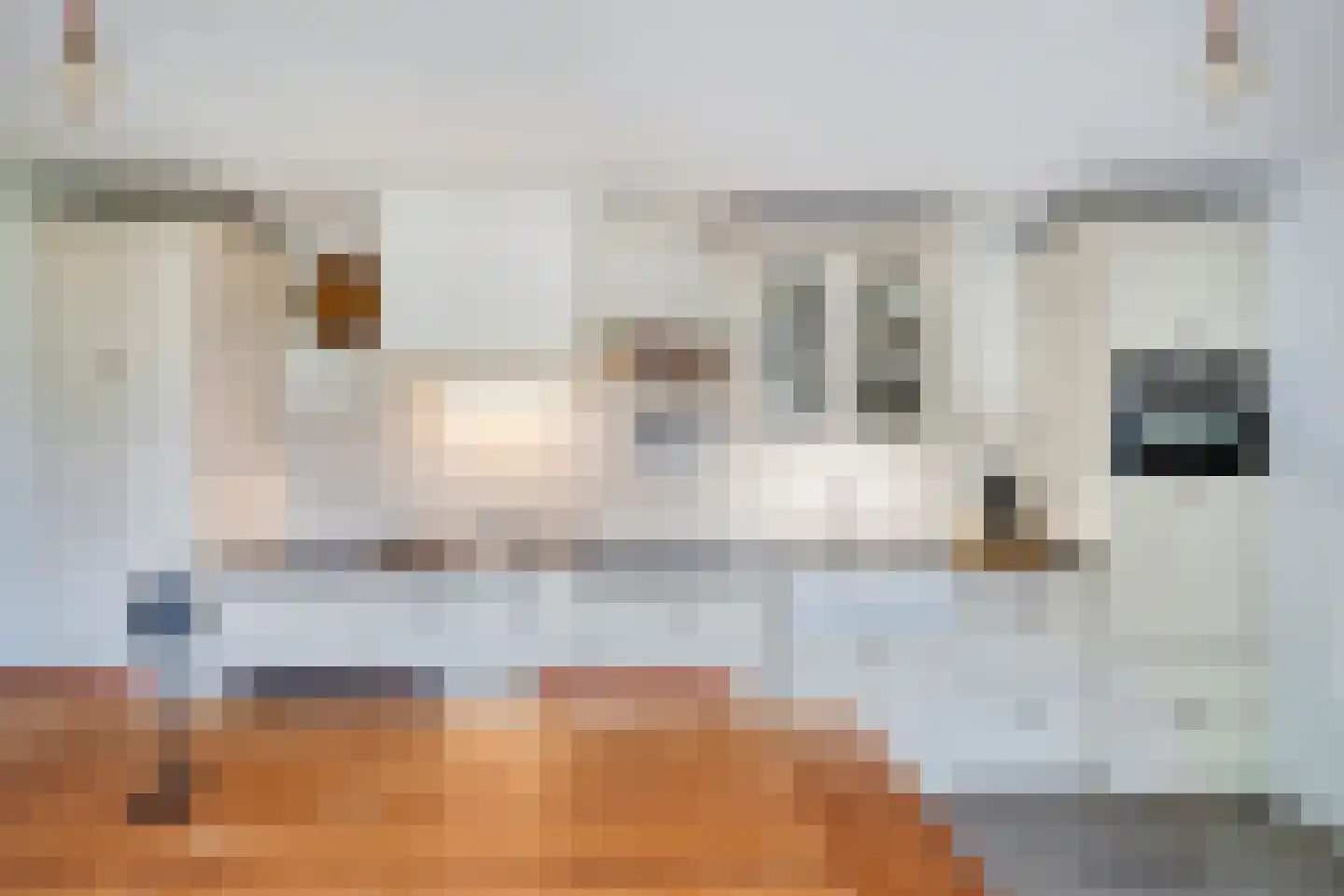 Dr. Schaepmanstraat 37 Tiel thumbnail 21