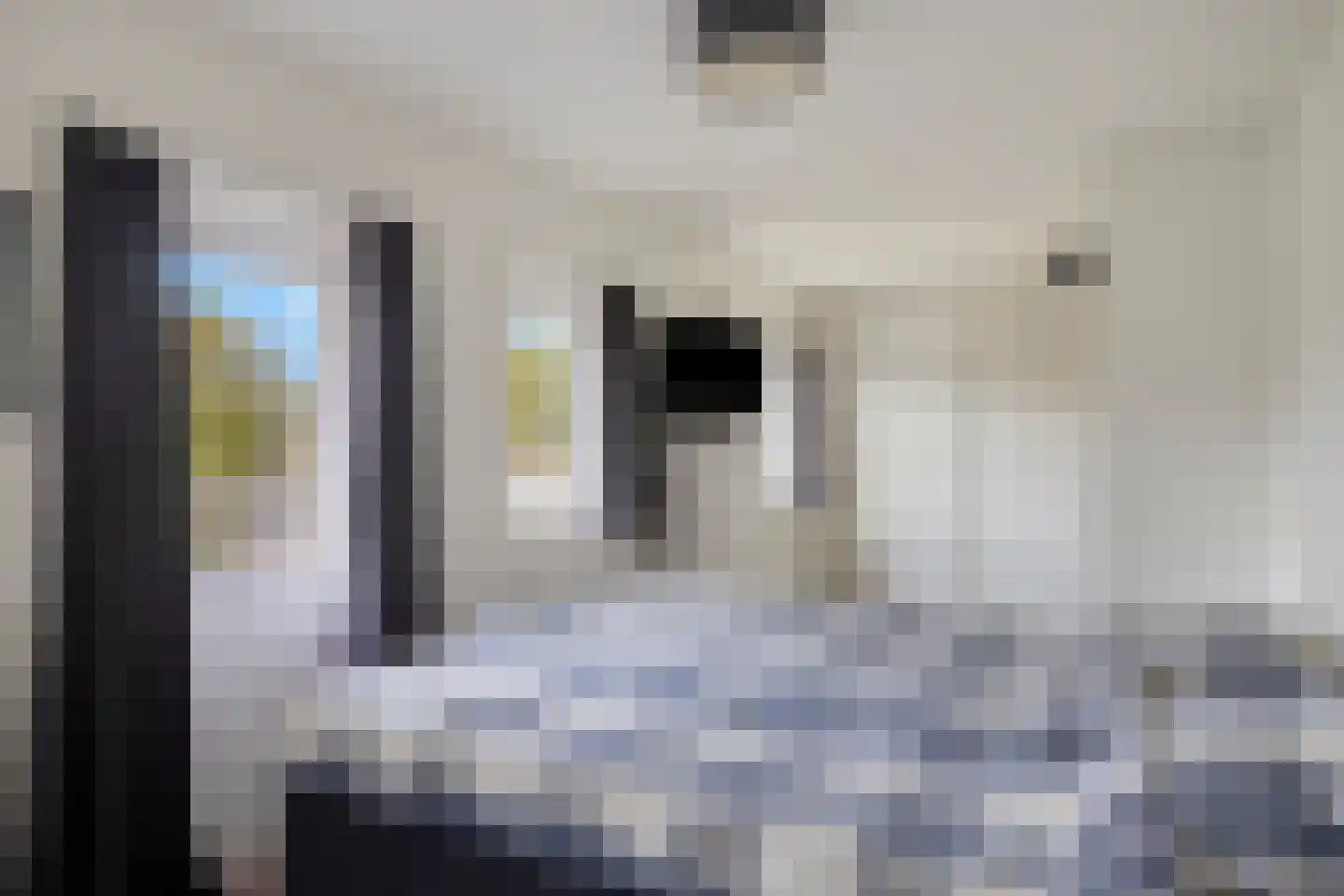 Dr. Schaepmanstraat 37 Tiel thumbnail 30