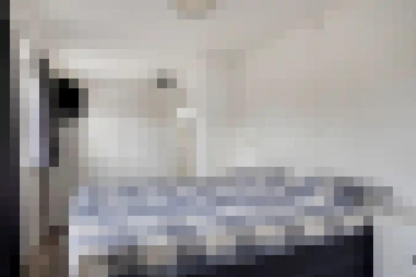 Dr. Schaepmanstraat 37 Tiel thumbnail 31