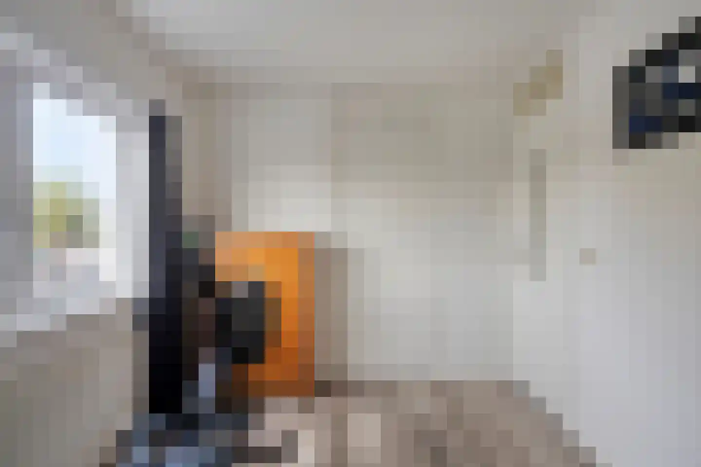 Dr. Schaepmanstraat 37 Tiel thumbnail 39