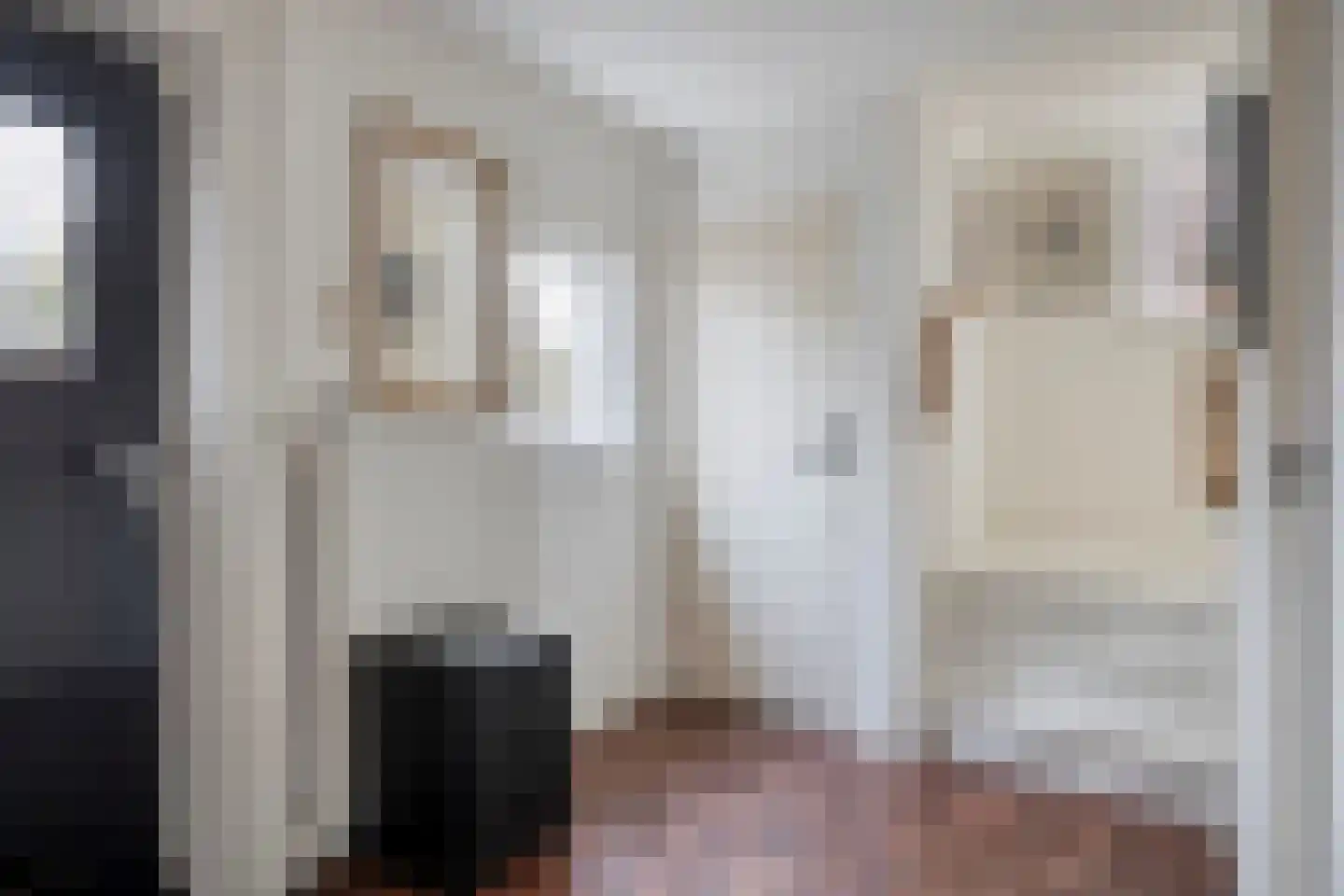 Dr. Schaepmanstraat 37 Tiel thumbnail 4