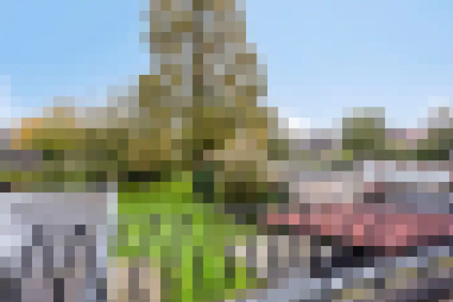 Dr. Schaepmanstraat 37 Tiel thumbnail 43