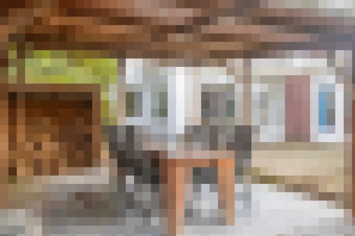 Dr. Schaepmanstraat 37 Tiel thumbnail 49