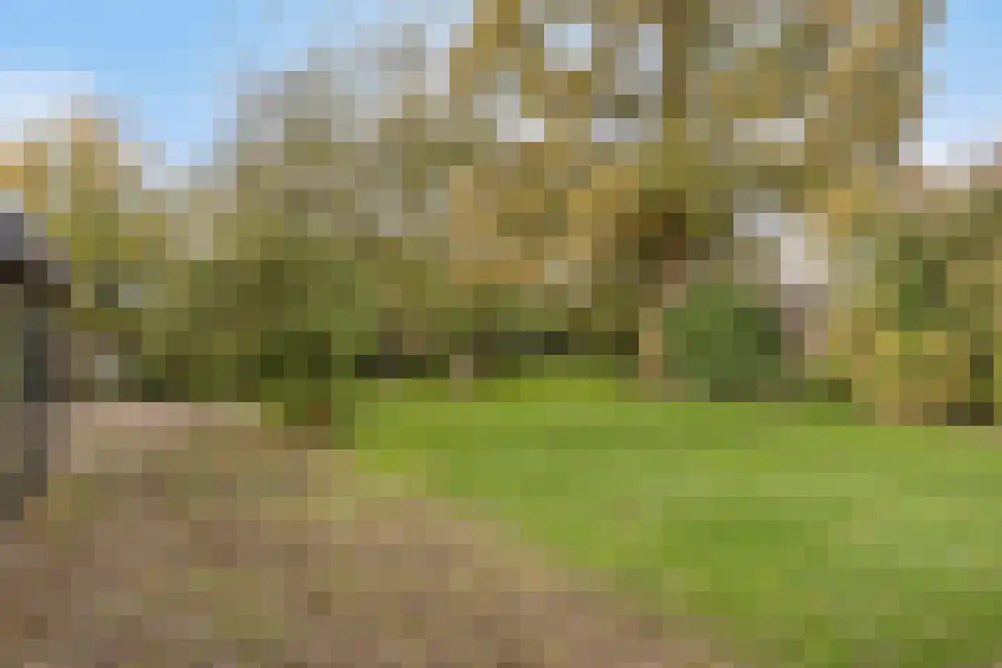 Dr. Schaepmanstraat 37 Tiel thumbnail 54